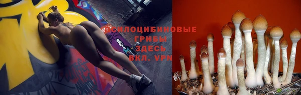 ешки Беломорск