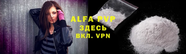 прущие грибы Белоозёрский