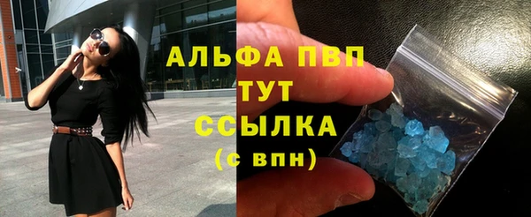прущие грибы Белоозёрский